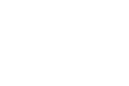 Renogy